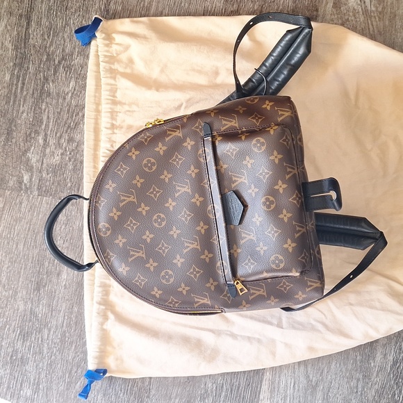 Louis Vuitton Palm Springs backpack - Picture 2 of 13